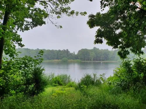 Wohnung am See in Berumbur, Deutschland