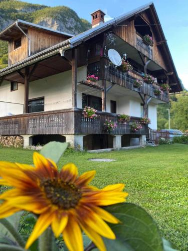 Apartment V&N, LAKE BOHINJ - Bohinj