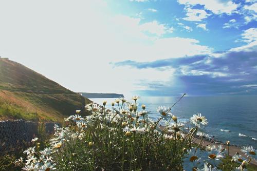Haven Crest, Whitby (foto 10)