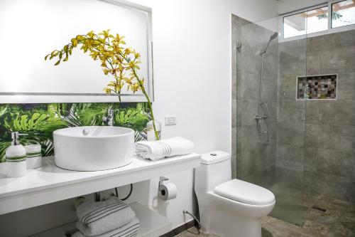 50N15 B&B, Cali (fotografie 10)