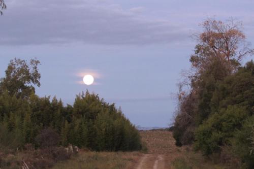 El Rancho de Chispero photo 1