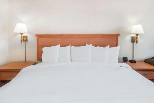 Queen Room with Two Queen Beds - Mobility Access/Non-Smoking