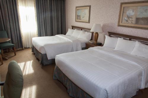Queen Room with Two Queen Beds