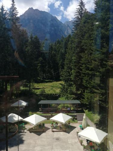 HOSTEL CPPI Vest in Busteni