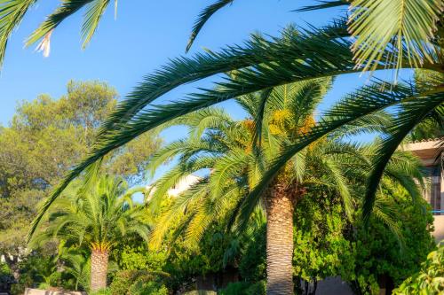 Résidence Goélia Les Jardins d'Azur