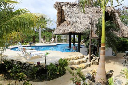 The GECKO BUNGALOW**Beautiful POOL**Free Airport Shuttle