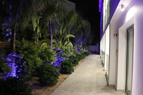 JOY Hotel Apts 5