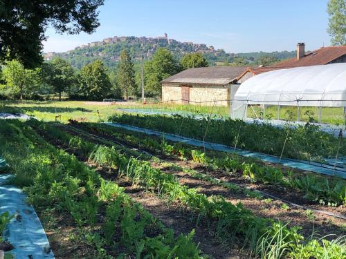 Gîte à la Ferme de Verdurette Cordes-sur-Ciel