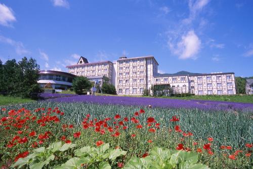 【走進紫色薰衣草田】激推北海道富良野7間住宿