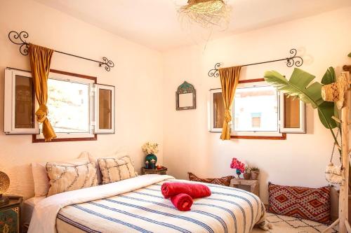 The Lunar Surf House – Tamraght, CO