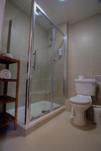 The Lucan Spa Hotel - image 14