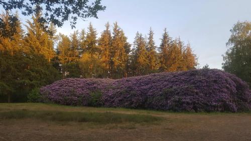 Omgivelser, Chapeau ! in Garderen