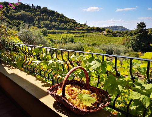 La Tinaia Country House gîte à louer Modolo