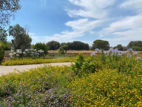 Tenuta alla Castellana