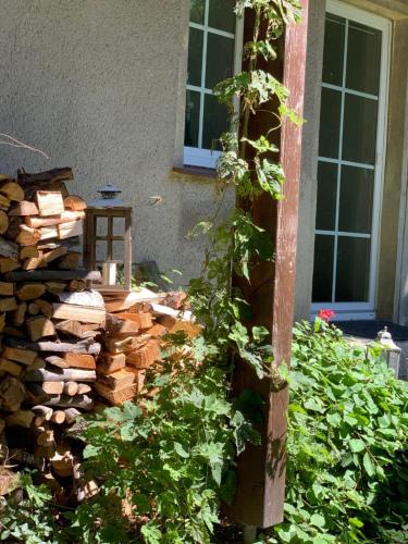 Ferienwohnung Firnhaber - Nieder Seifersdorf Oberlausitz