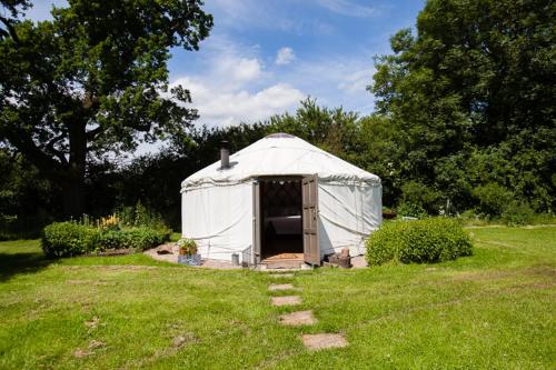 The Little Yurt Meadow, , Shropshire