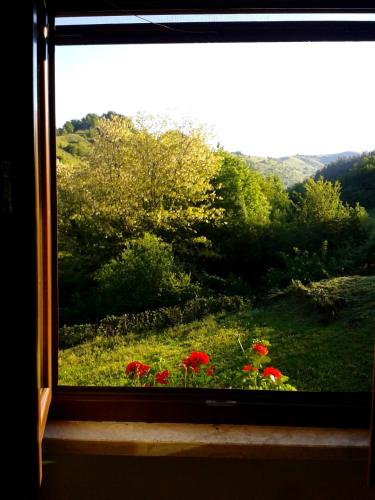 Agriturismo Il Casale Pica in Ponzano Romano