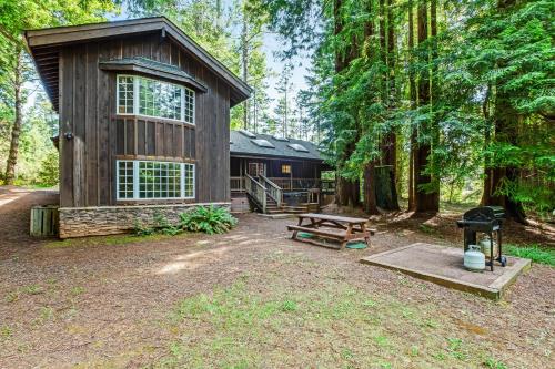 Little River Redwoods - image 2
