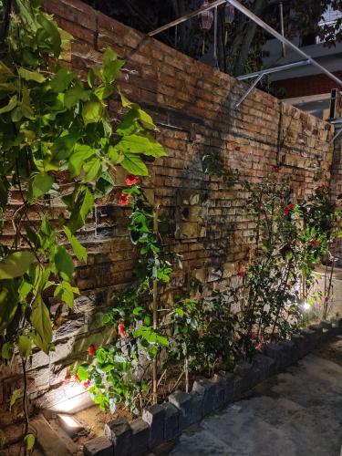 The Sun Homestay, Hội An (Foto 6)