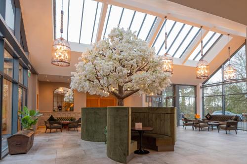 . Enterkine Country House Resort