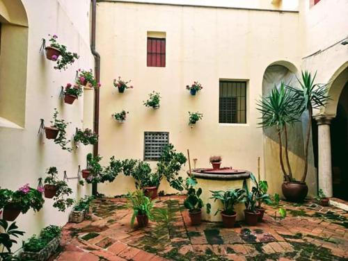 Albergue Convento S.Francisco - image 11