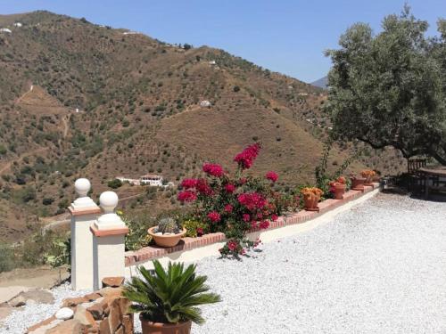 Gorgeous Villa in Arenas Spain With Private Swimming Pool - image 5