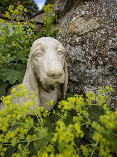 Ryedale Cottage - image 6