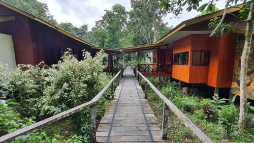 Bilit Adventure Lodge in Kota Kinabatangan