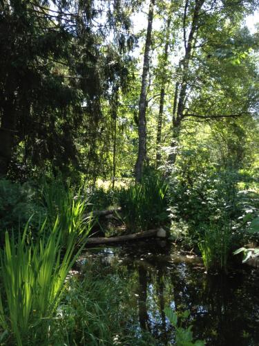 Hotel am Bach - image 5