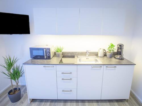Freiburger-Ferienwohnung - main image