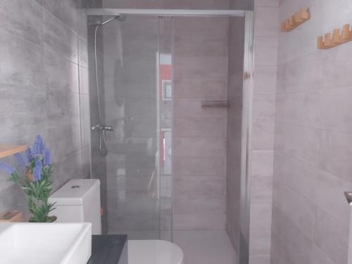 Medea Apartments - image 10