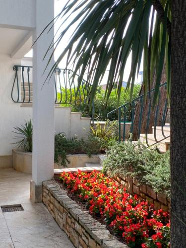  Sobe Number 9 in Rovinj