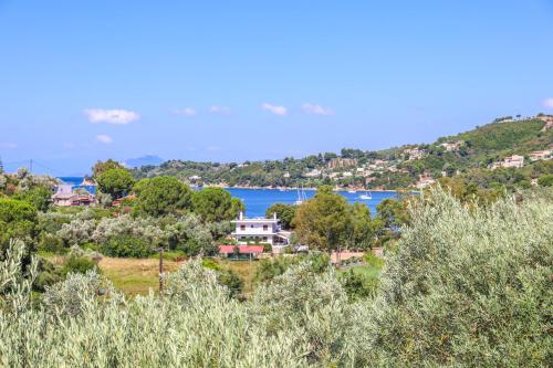 Pandora Studios Skiathos - image 5