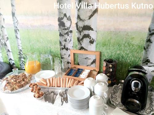 Hotel Villa Hubertus Kutno