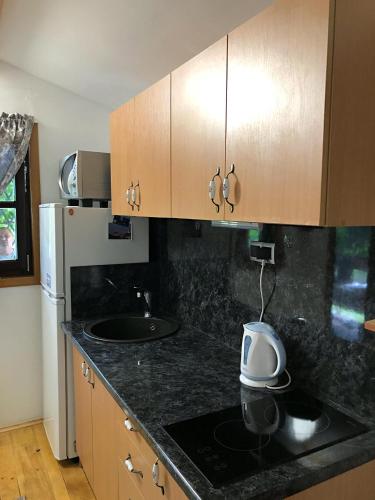 Studio apartman Firdaus-Bihać, Dobrenica bb