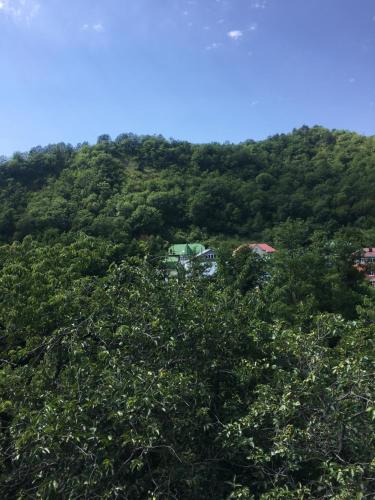 Царица