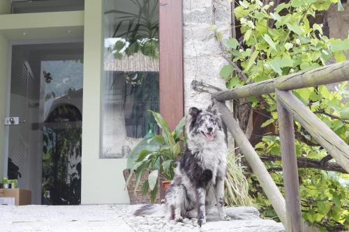 B&B Casa Gori 2
