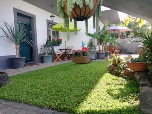 Madeira Holiday Flats 5