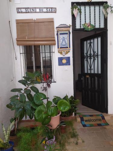 Ideal Apartamento Tipo Loft en Triana Sevilla Wifi