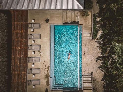 Yüzme havuzu, Copal Tree Lodge a Muy'Ono Resort in Punta Gorda