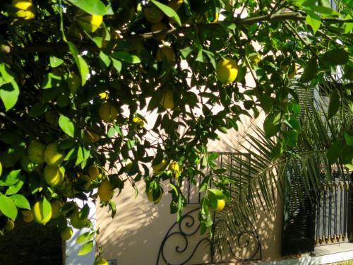 Hotel Kalehan - image 3