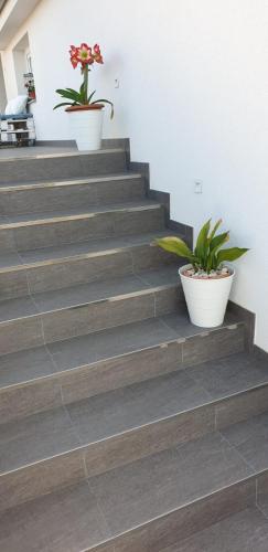 Apartments and Rooms Ivana - image 4