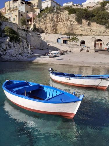 Limonaia in Salento - image 6