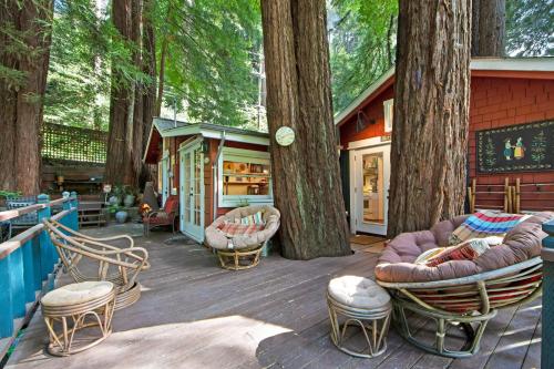 Mt. Hermon Treehouse - main image