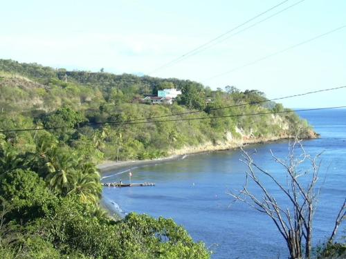 Tamarind Tree Hotel Tamarind Tree Hotel