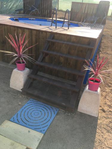 ทางเข้า, HERDADE PALMA t2 in โมยตา