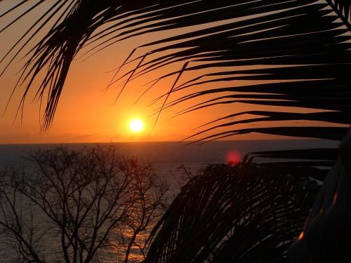 Tamarind Tree Hotel Tamarind Tree Hotel