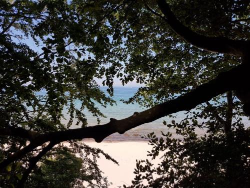 A környék, Haus Bernsteinchen in Gustow