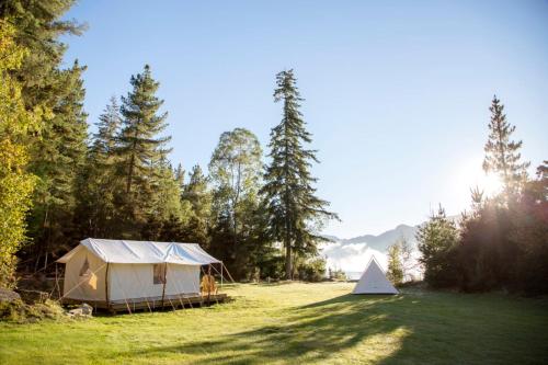 Denver Cove - Colorado Tent