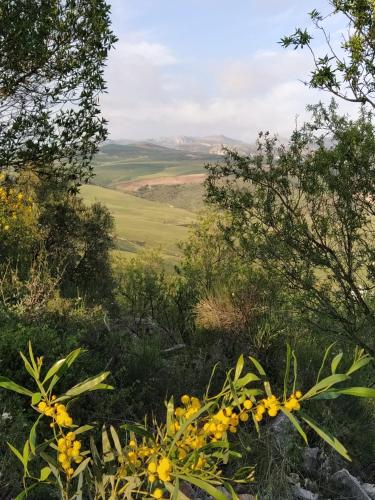 Finca Sábila Finca Sábila